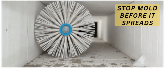 Air Duct Mold Removal in Bolingbrook