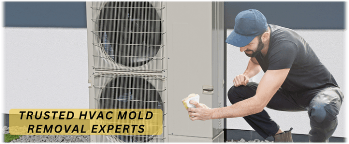 HVAC Mold Removal Bolingbrook